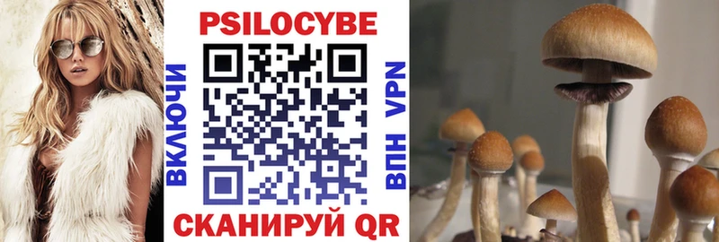 Купить где  Альметьевск  Галлюциногенные грибы MAGIC MUSHROOMS 